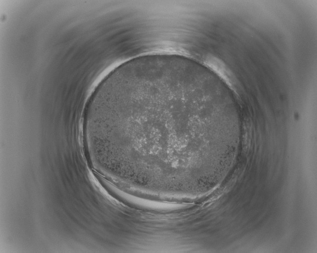 X0000085271468200703161417