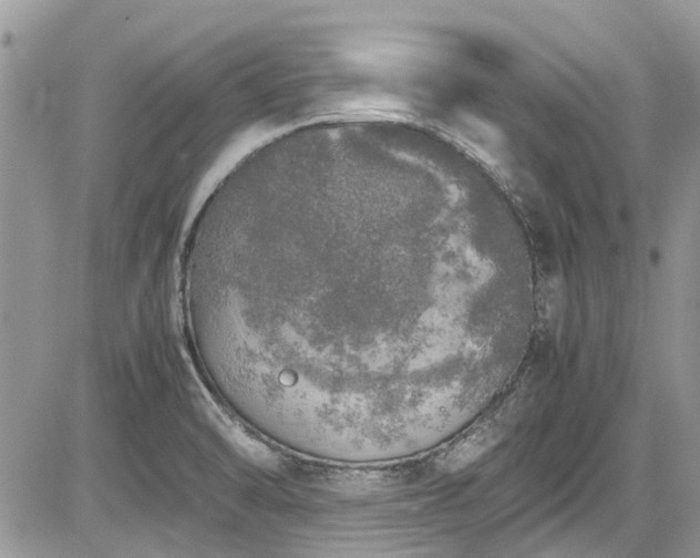 X0000085271470200703161417