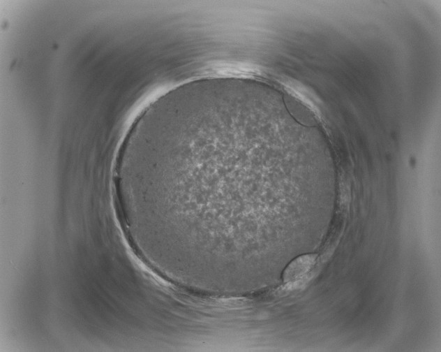 X0000085271471200703161417