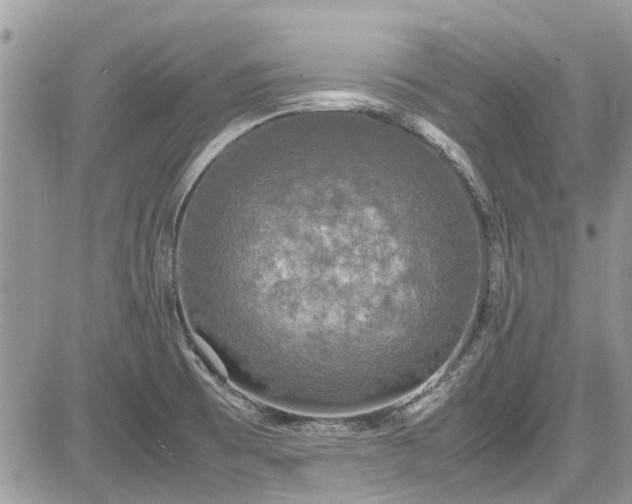 X0000085271473200703161417