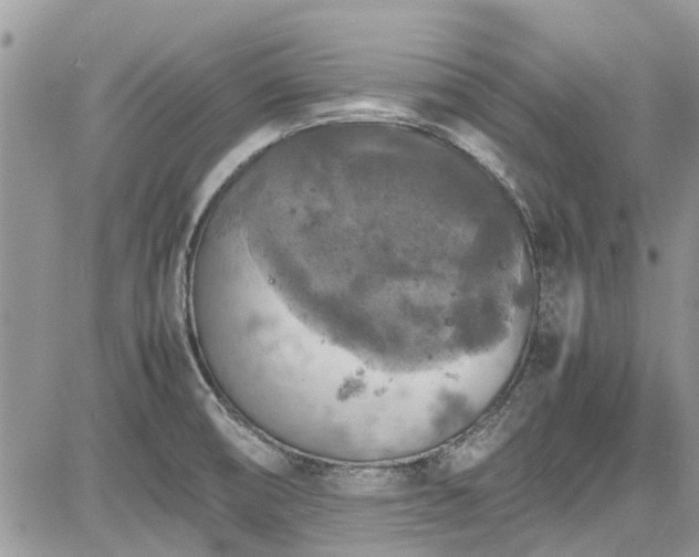 X0000085271474200703161417