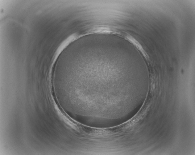 X0000085271475200703161417