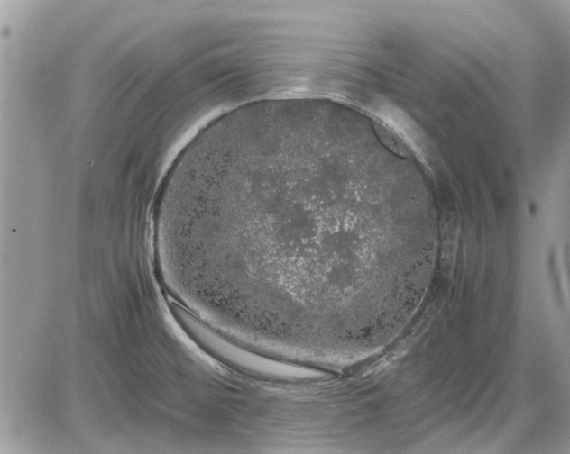 X0000085271476200703161417