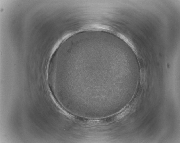 X0000085271477200703161417