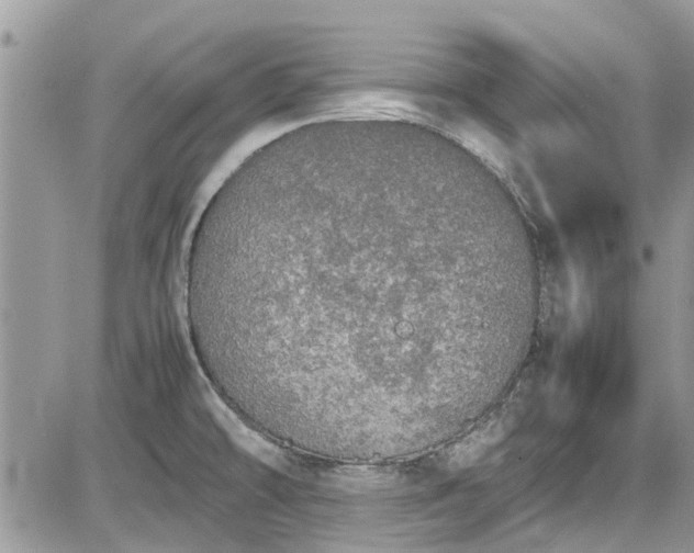 X0000085271478200703161417