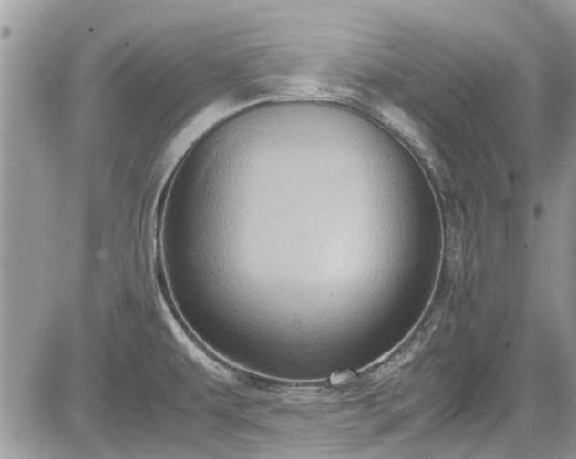 X0000085271479200703161417