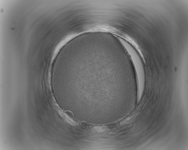 X0000085271480200703161417