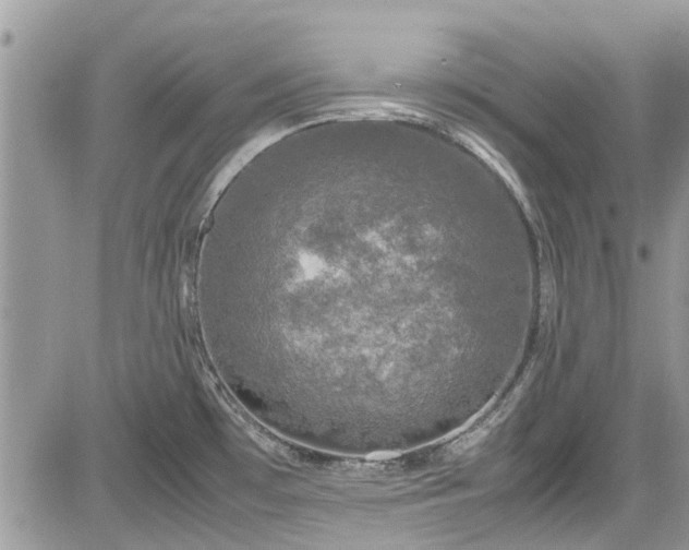 X0000085271481200703161417