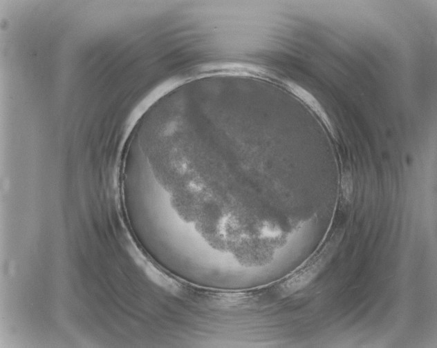 X0000085271482200703161417