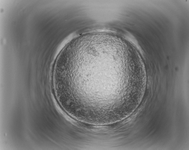 X0000085271483200703161417