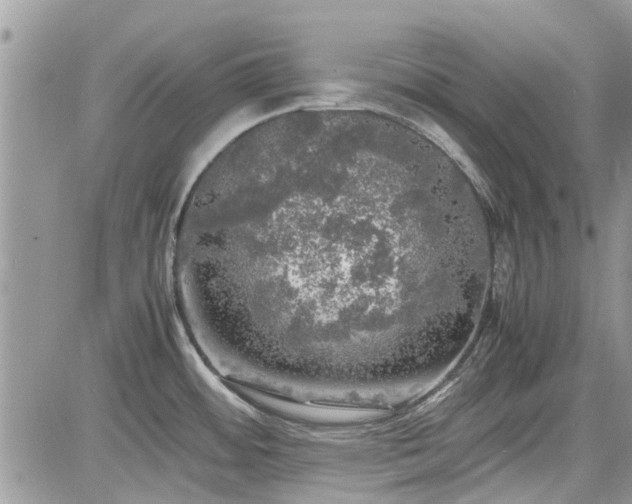 X0000085271484200703161417