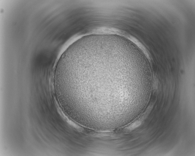 X0000085271486200703161417