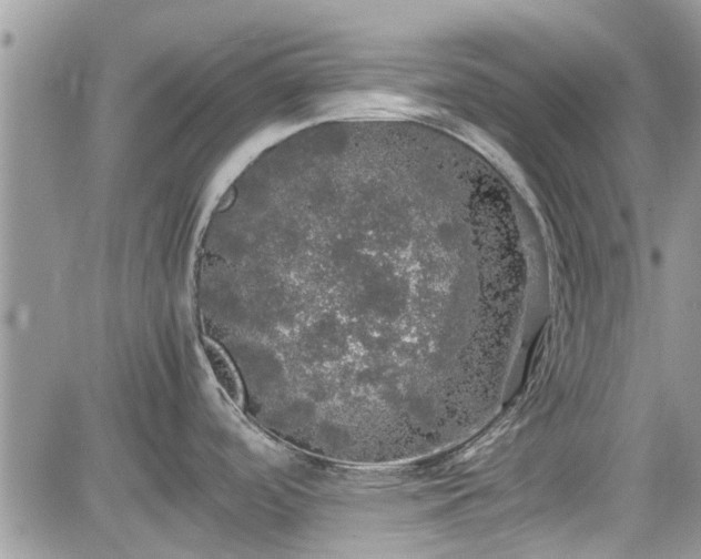 X0000085271488200703161417