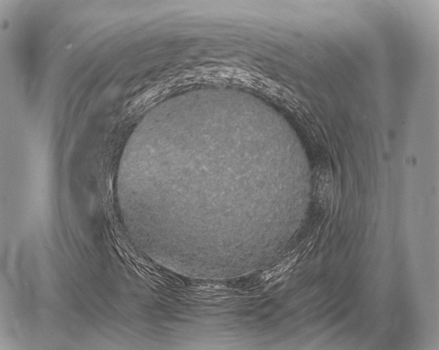 X0000085271489200703161416