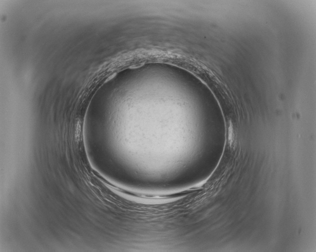 X0000085271492200703161416