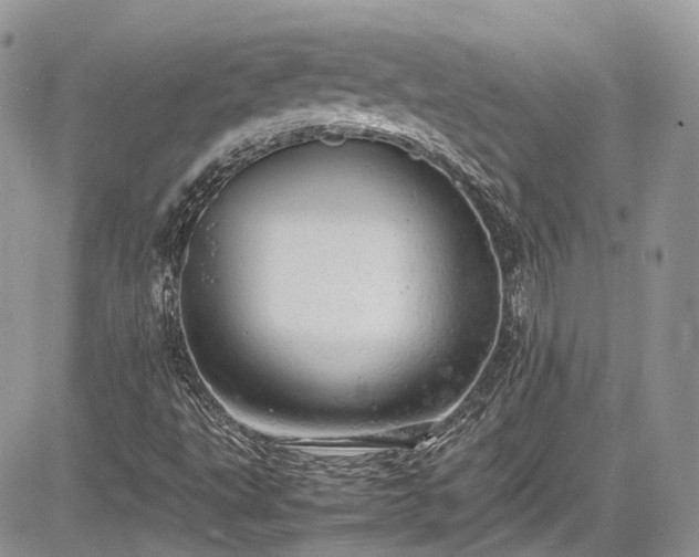 X0000085271495200703161416