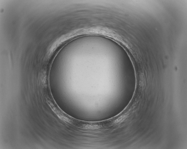 X0000085271499200703161416