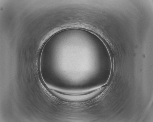 X0000085271500200703161416