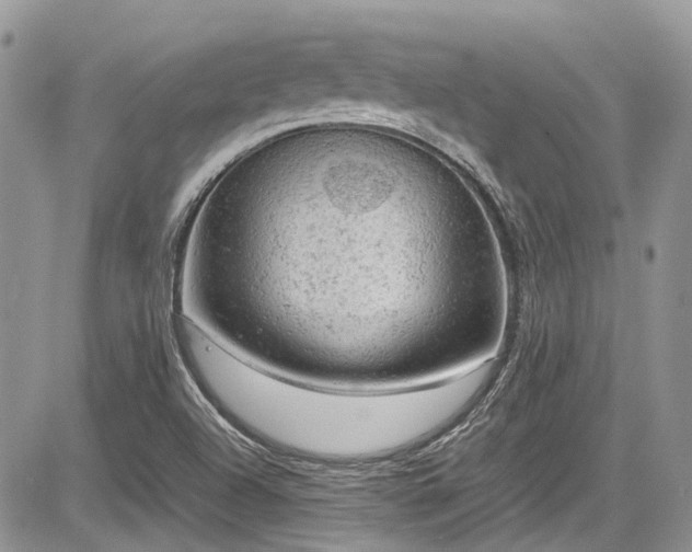 X0000085271504200703161416