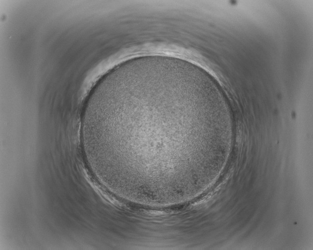 X0000085271507200703161416