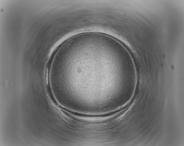 X0000085271510200703161416