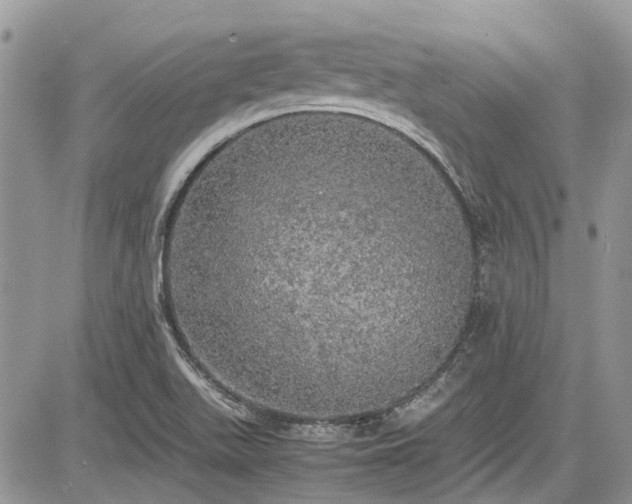 X0000085271511200703161416