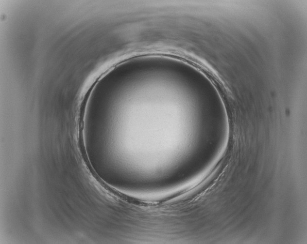 X0000085271512200703161416