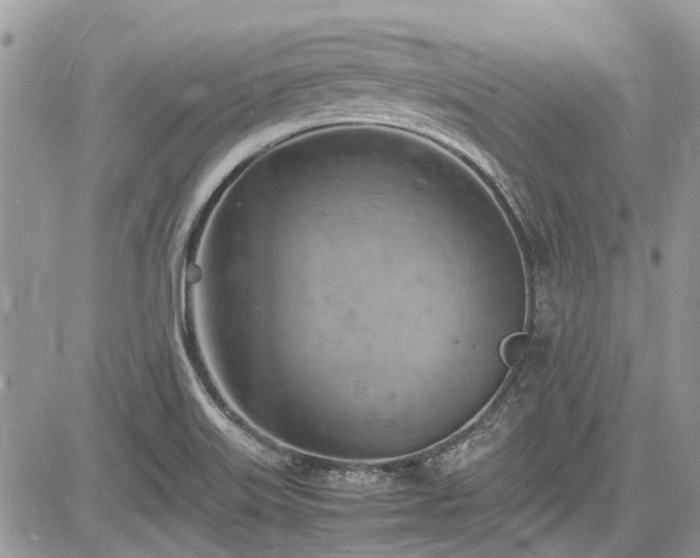 X0000085271515200703161416