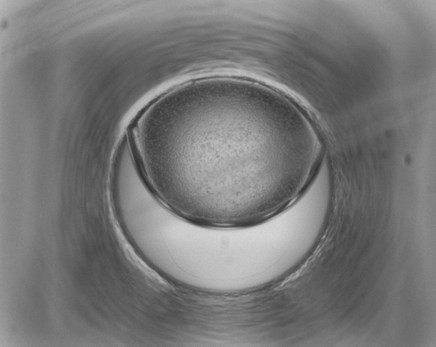 X0000085271518200703161416