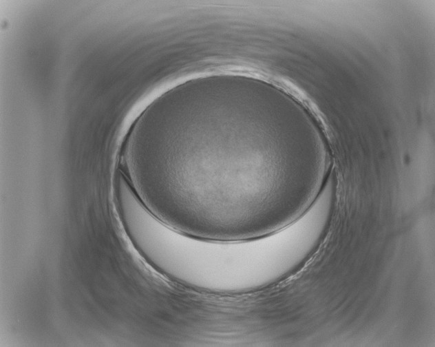 X0000085271520200703161416