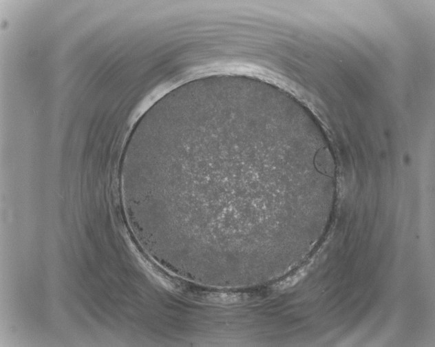 X0000085271521200703161416