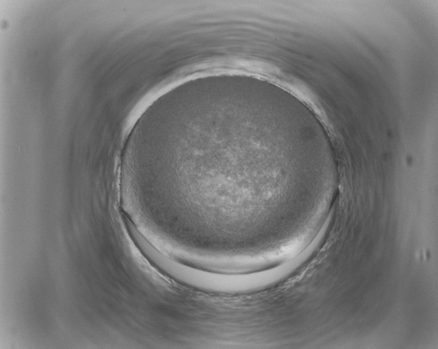 X0000085271524200703161416