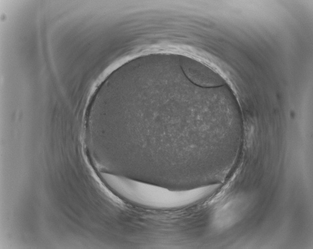 X0000085271525200703161416