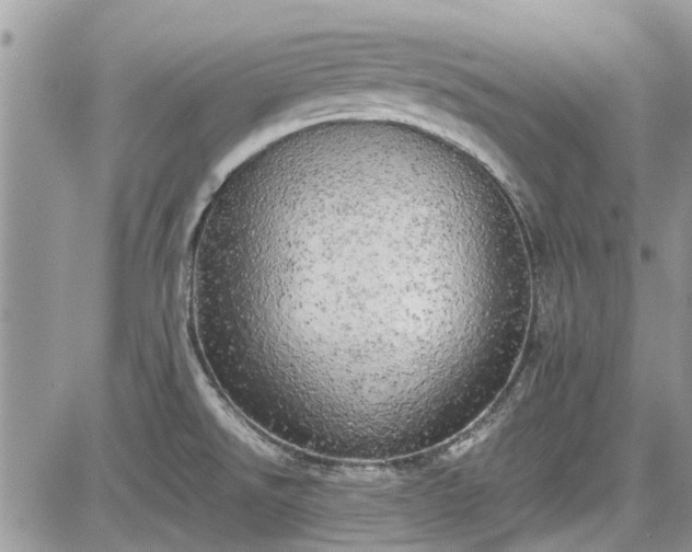 X0000085271526200703161416