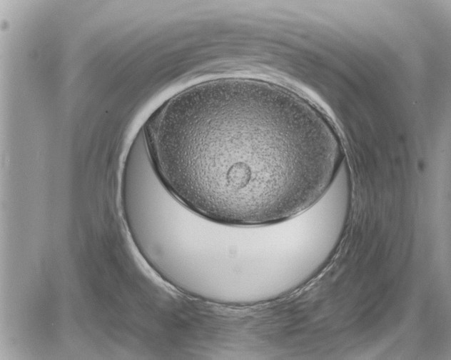 X0000085271528200703161417