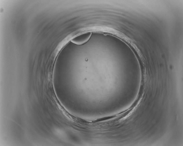 X0000085271529200703161417