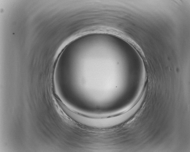 X0000085271530200703161417