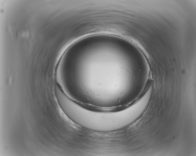 X0000085271532200703161417