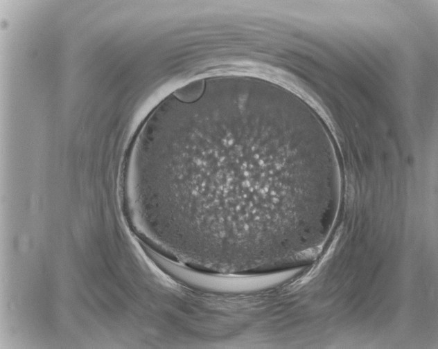 X0000085271533200703161417