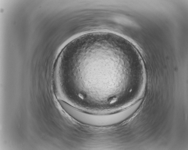 X0000085271534200703161417