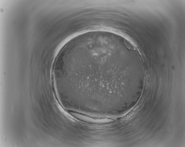 X0000085271535200703161417