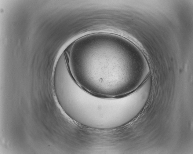 X0000085271536200703161417