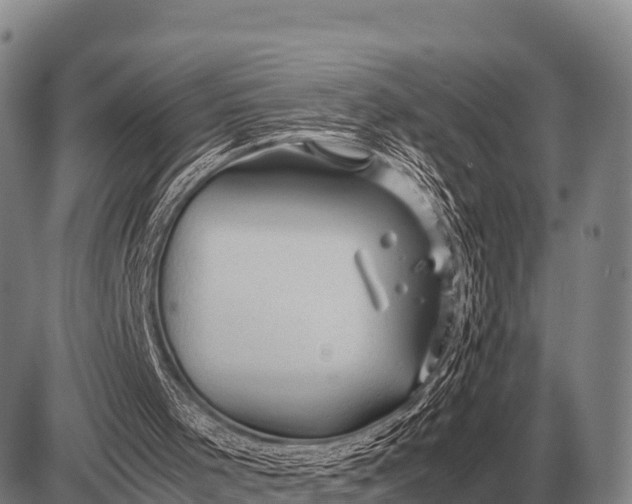 X0000085270001200703231753