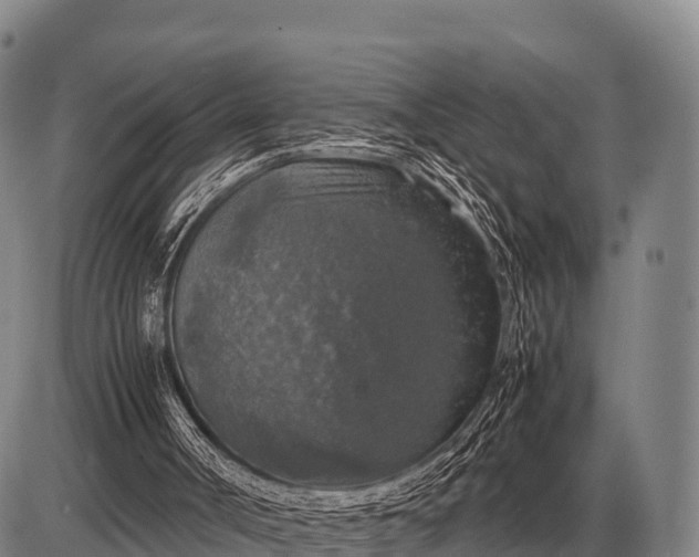 X0000085270002200703231753