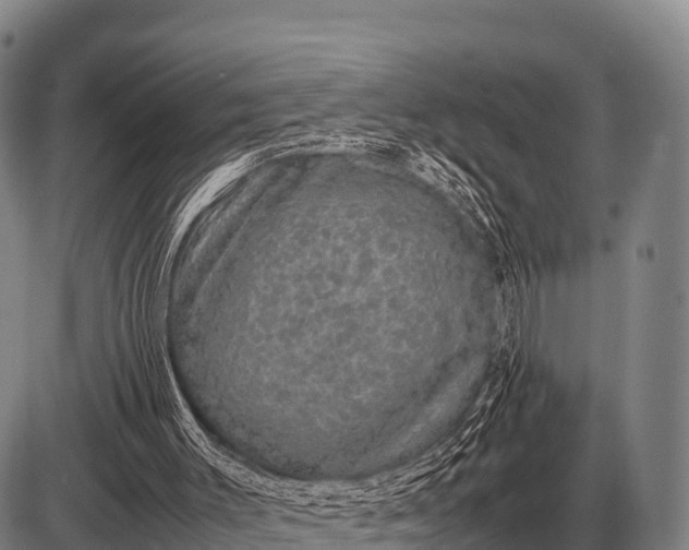 X0000085270003200703231753