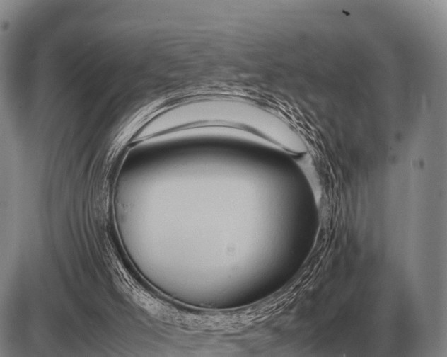 X0000085270005200703231753