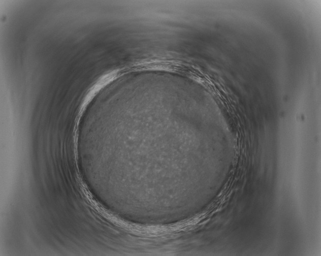 X0000085270006200703231753