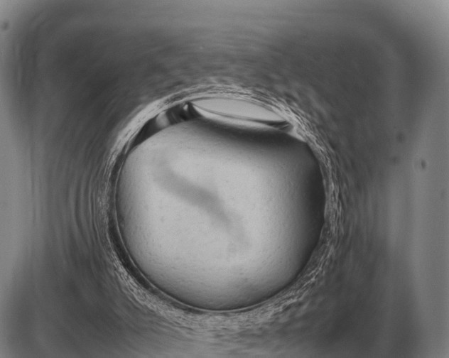 X0000085270007200703231753