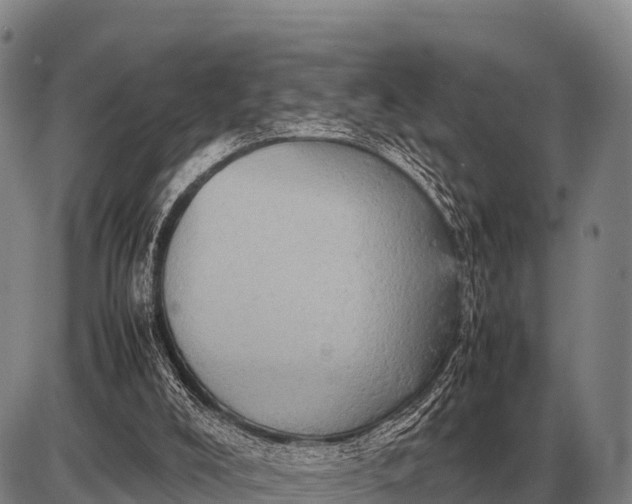 X0000085270008200703231753