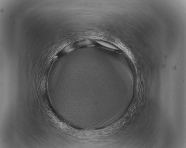 X0000085270009200703231752